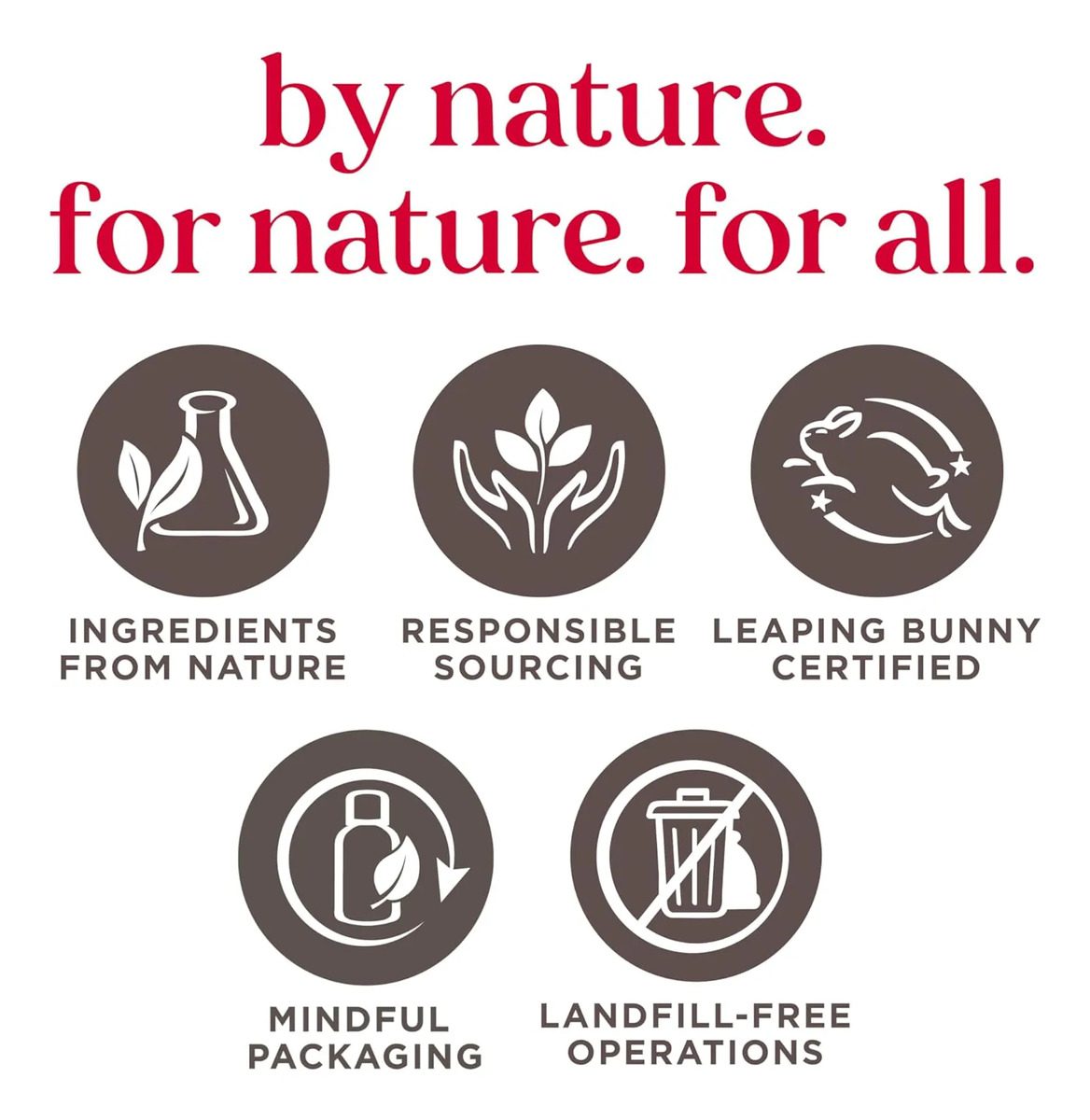 Burt S Bees Moisturizing Lip Balm Sweet Peach - Sin Caja - Image 5