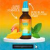Mielle Mango Tulsi Serum Nutritivo 3 En 1 Capilar 59 Ml - Image 2