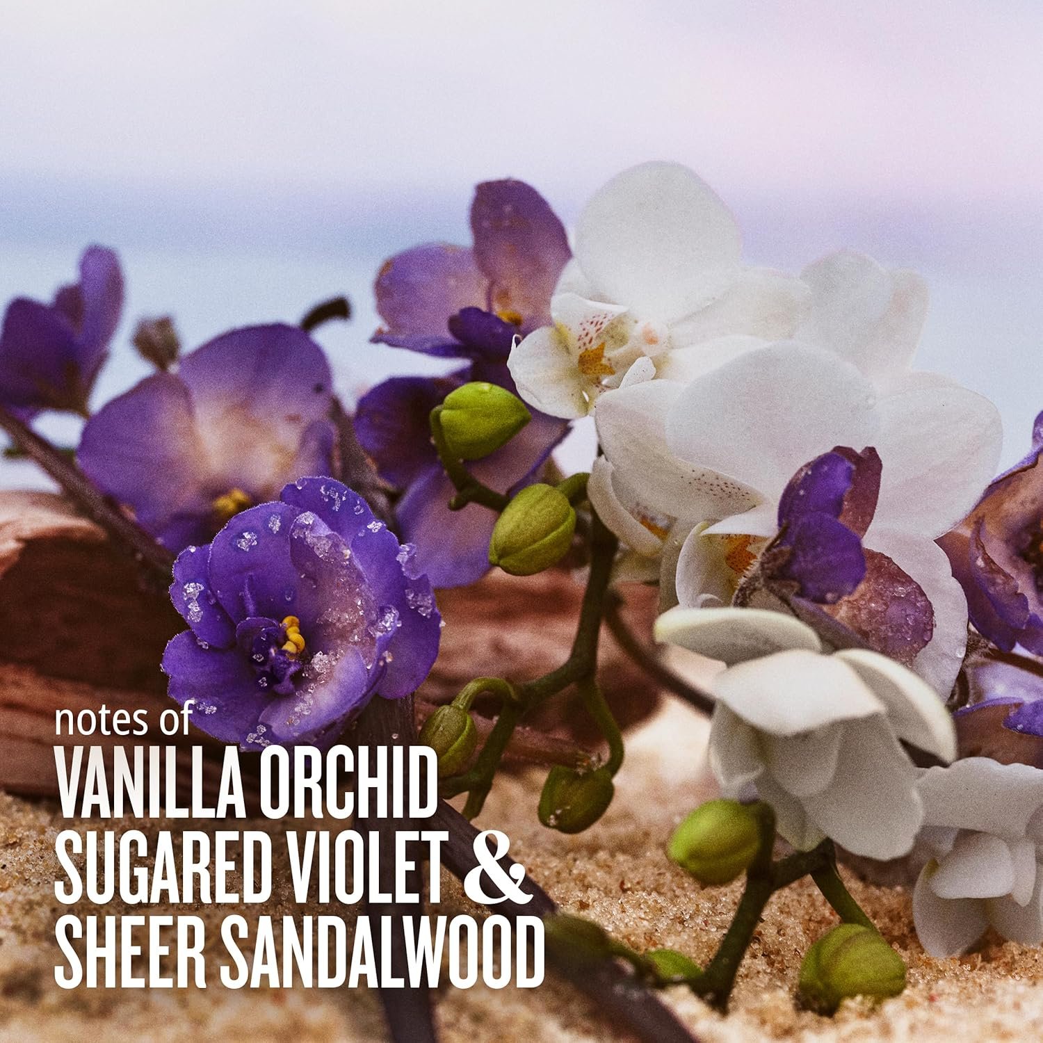 Sol de Janeiro – Cheirosa 59 Perfume Mist 90 ml - Image 3